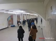 Шлюхи метро царицыно